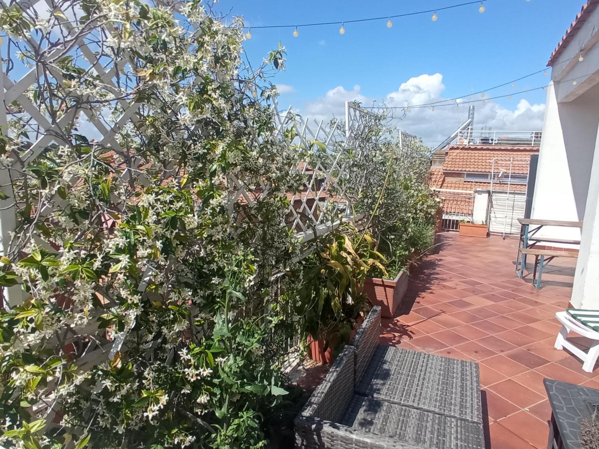 Rooftop Appia Antica,Silenzioso Riservato Two Bedrooms Two Bathrooms Rome Bagian luar foto